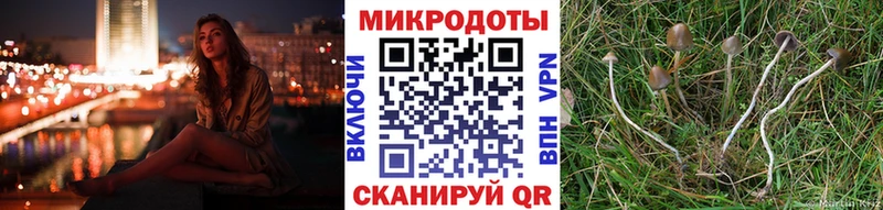 Купить закладки  Красноуральск  Галлюциногенные грибы мухоморы 